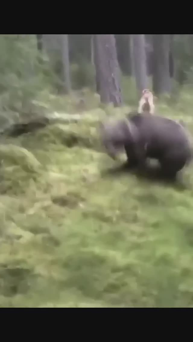 Опасная ситуация.+18 смотреть онлайн