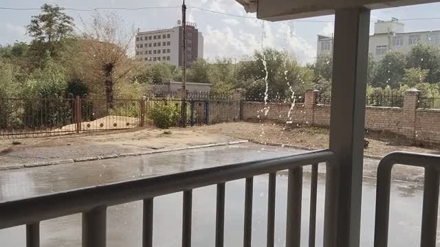 #Shorts  #Дождь  #Солнце