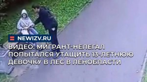 Видео: мигрант-нелегал попытался утащить 13-летнюю девочку в лес в Ленобласти