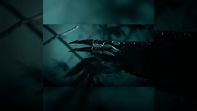 Predator (1987) | 4K EDIT | Untitled#13 #predator #edit #4kedit #dutch смотреть онлайн