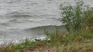 Ловля леща в сентябре на фидер. Экстремальная рыбалка в шторм