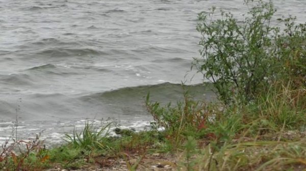 Ловля леща в сентябре на фидер. Экстремальная рыбалка в шторм