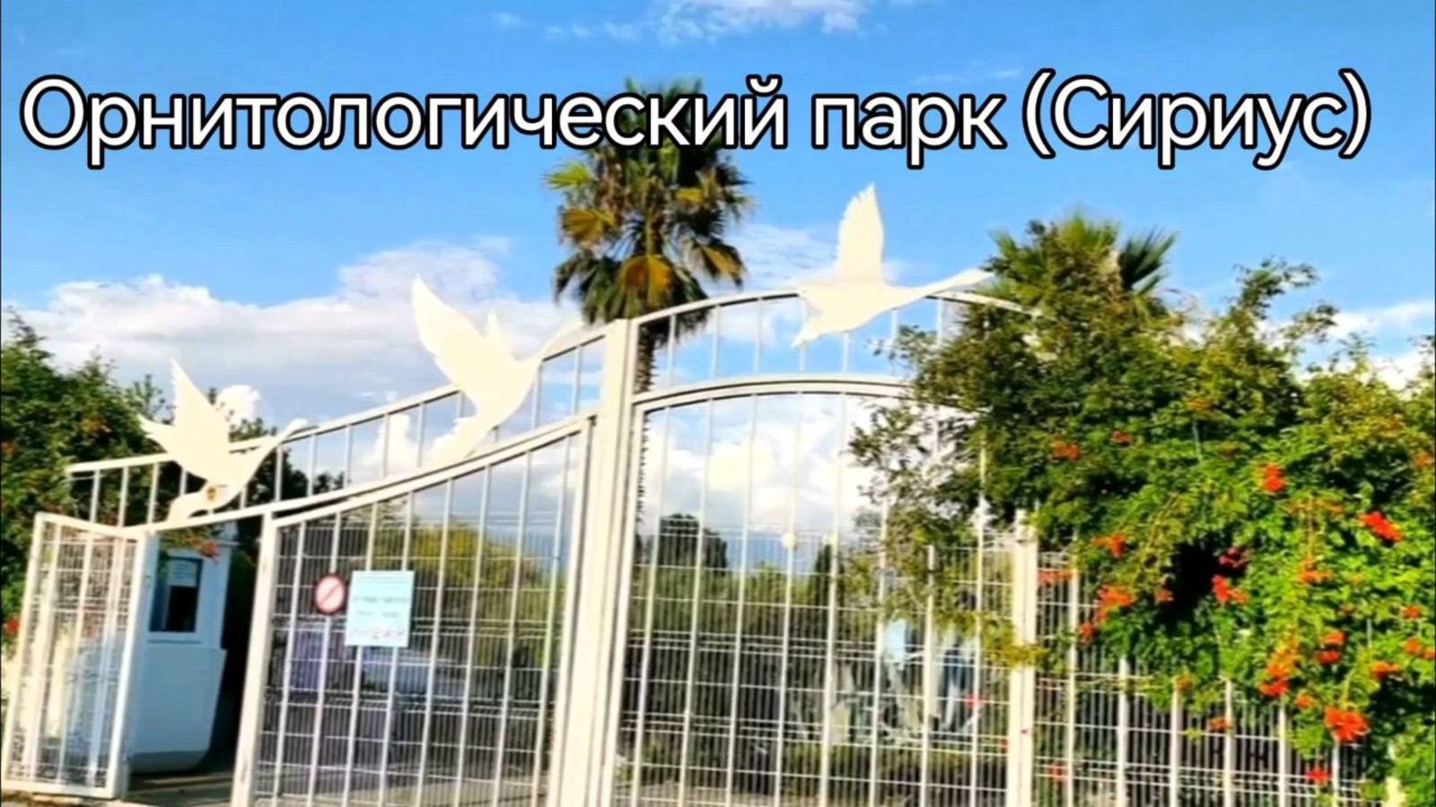 Орнитологический парк в августе смотреть онлайн