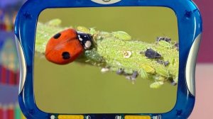 ✨Спокойной ночи, малыши✨144/2025 Божья коровка