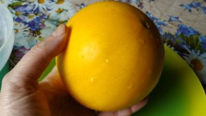 Победа! Дыня этого сорта успела созреть даже на севере Подмосковья: дыня Люкс 87, дегустация