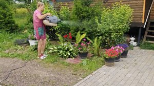 ИЗБАВЛЯЮСЬ ОТ ТЛИ БЕЗ ОТРАВЫ!