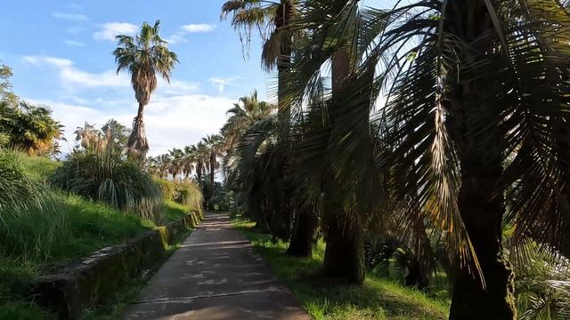 Дендрарий Сочи. Апрель 2025.