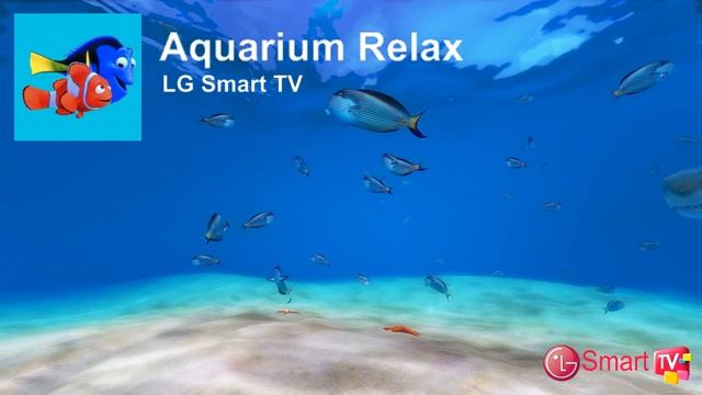 Aquarium Relax смотреть онлайн