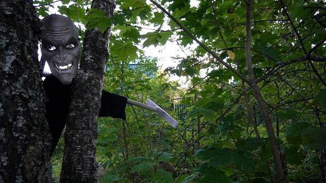 ЫРКА В РЕАЛЬНОЙ ЖИЗНИ | ЗАСТРЯЛИ В ЛЕСУ С КОТОМ И СОБАКОЙ смотреть онлайн