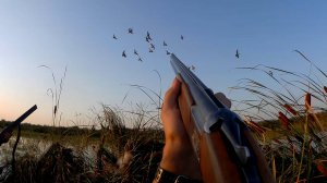 ОТЛИЧНОЕ ОТКРЫТИЕ ОХОТЫ НА УТКУ 2025