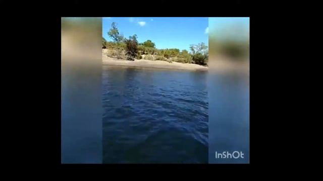 Отзыв клиента Globaldrive о лодочном моторе Mikatsu Река Бикин, обкатка нового двигателя смотреть онлайн