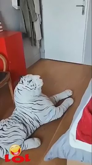 🐶 Когда пёс увидел «это» 😱