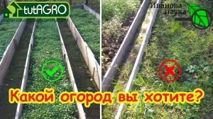 4 ПРОСТЫХ СПОСОБА УСКОРИТЬ РАЗВИТИЕ СИДЕРАТОВ: сидераты сработают даже в короткие сроки! Сейте смело