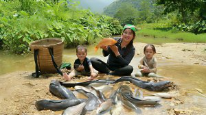 Как поймать гигантскую прудовую рыбу в дождливый день, чтобы продать на рынке. Жизнь во Вьетнаме