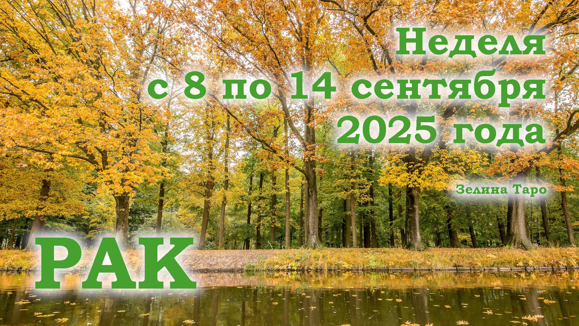 РАК | ТАРО прогноз на неделю с 8 по 14 сентября 2025 года