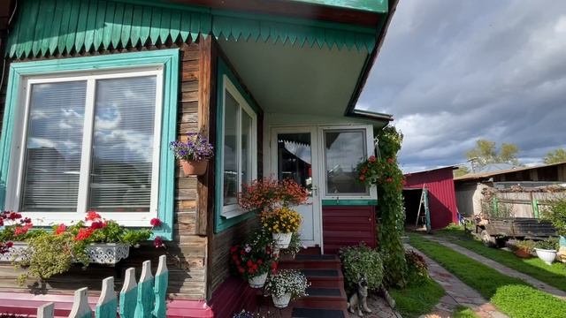 Обзор Колеусов и других цветов на 5 сентября, после длительных дождей. смотреть онлайн