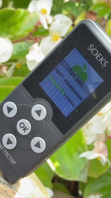 СИБИРСКИЙ ГИГАНТ 2025 смотреть онлайн