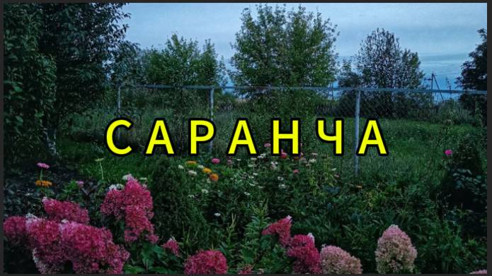 Саранча. Странный случай смотреть онлайн