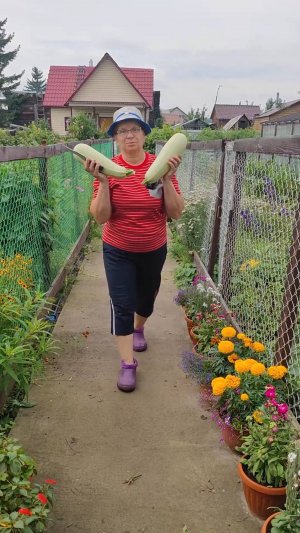 Когда кабачки уже некуда девать, сделайте кабачковую икру.