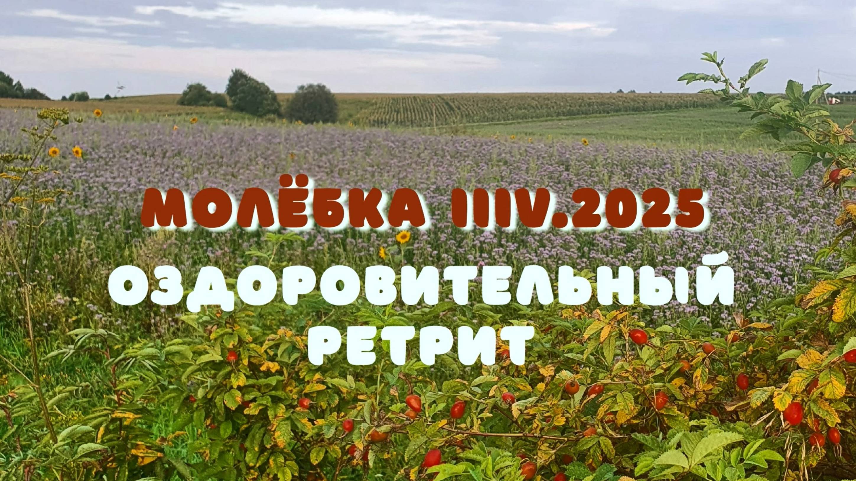 Оздоровительный ретрит на Молёбке (авг25г)