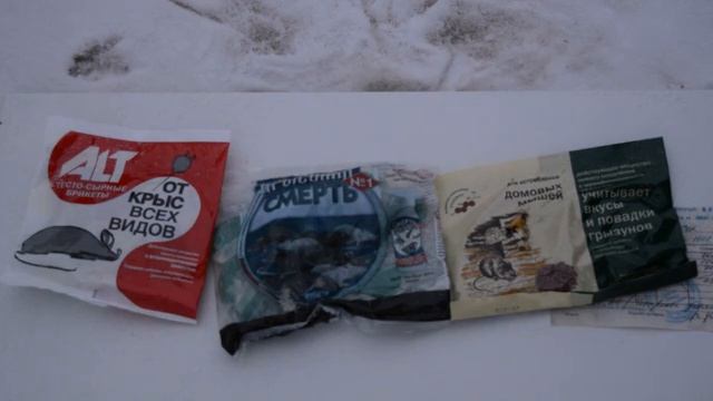 Крысы. Мыши. Уничтожение. Яд или ультразвук?