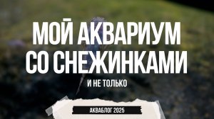 Мой аквариум со снежинками. Часть 2