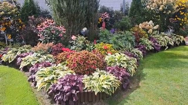 1🦊🦊🦊 смотреть онлайн