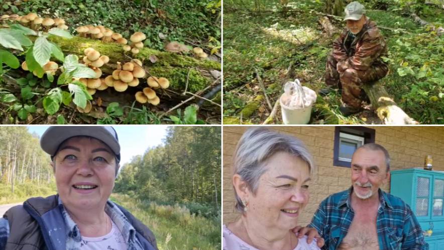 Из Москвы в деревню или пенсионеры на позитиве