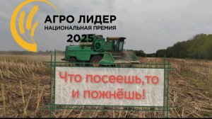 Уборка неурожая подсолнечника 2025!!!