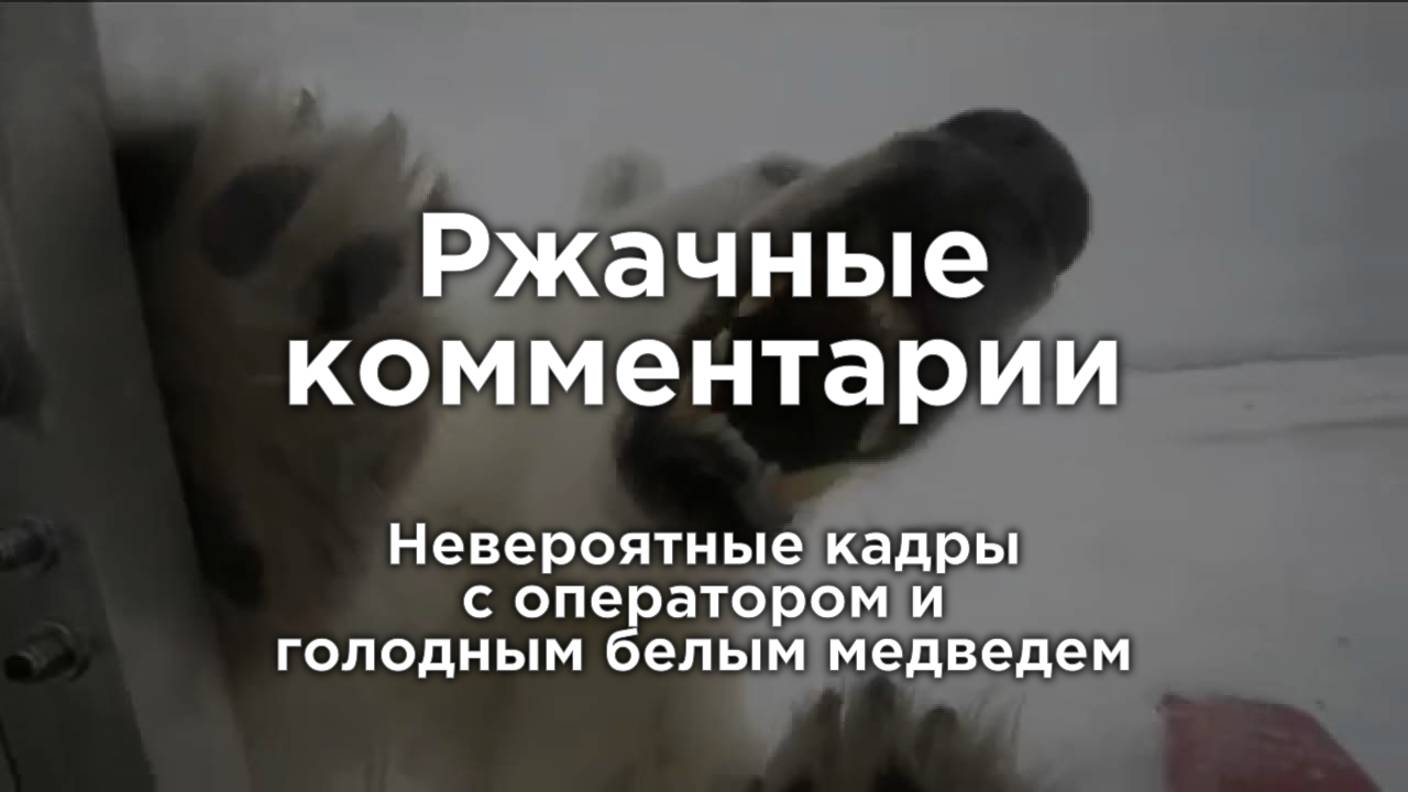 Невероятные кадры с оператором и голодным белым медведем | Ржачные комментарии смотреть онлайн