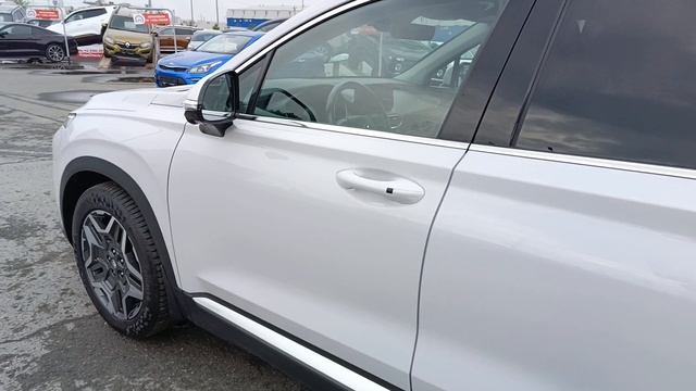 Hyundai Santa Fe 2,2 л. Дизель РКПП (199 л.с.) 4WD 2021 смотреть онлайн