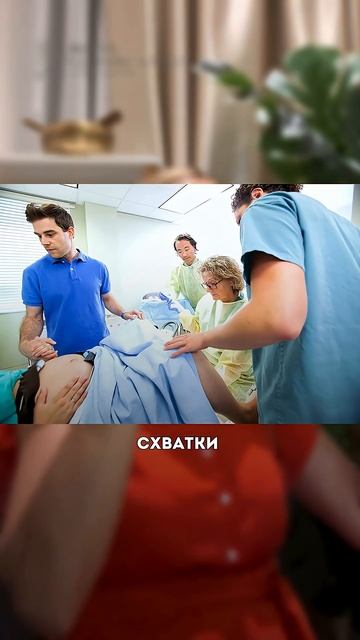 С ним соглашаются даже строгие врачи - план родов #роды2025 #подготовкакродам #роддом #доула #врач смотреть онлайн