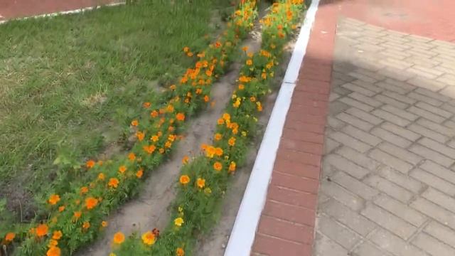 Благоустройство СШ №16