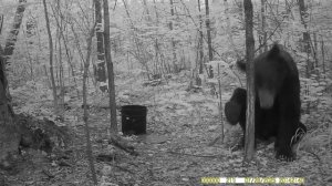 1000057862.mp4 такой гость приходит главное не шкодный