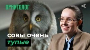 10 глупых вопросов ОРНИТОЛОГУ