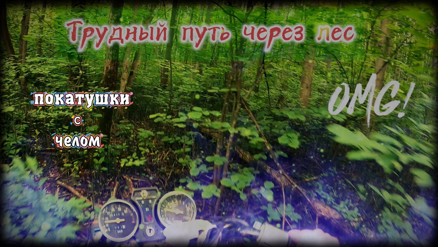 Лесные покатушки на альфе // Пробираюсь через заросли