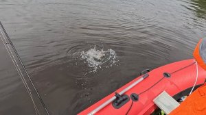 Рыбачим на КАМЕ (день третий)