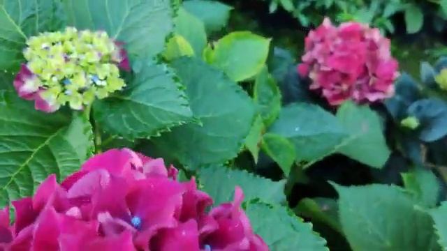 🦋🦋🦋🦋🦋 смотреть онлайн