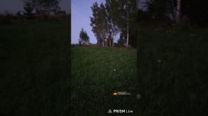 Запись стрима с ютуба 05.09.25. Едем в лес за пеньками с Псом Кубиком