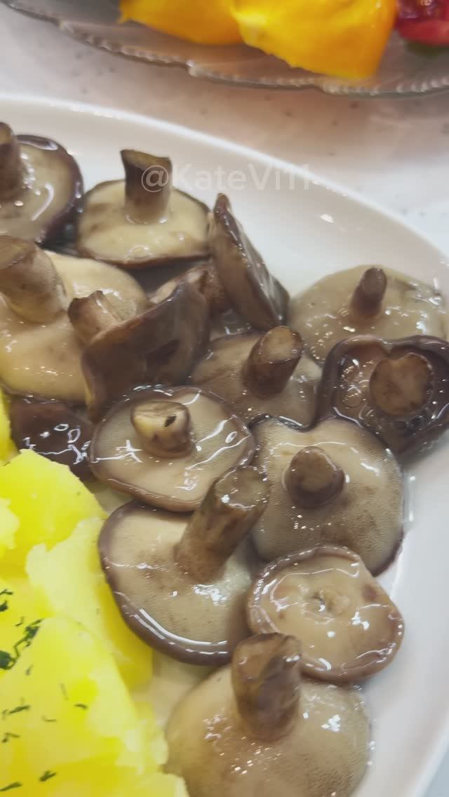 Маринованные маслята. Домашний любимый рецепт универсального маринада. Сохраняйте!🍄🟫 смотреть онлайн