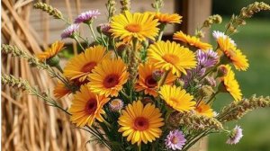 05-09-2025 Жизнь в деревне 🏠 как она есть на самом деле.