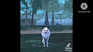 подборка из тик тока вилд кравт