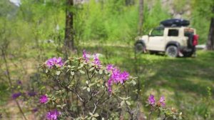 Дорога в горах Восточного Саяна к посёлку Орлик. Моменты лета