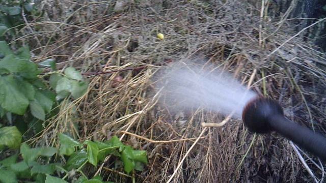 Орошение нашего пополняемого компоста