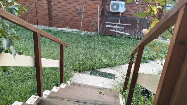 СОЧИ. ГОРНОЕ ЛОО УТРО 05.09.2025 смотреть онлайн