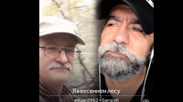 Я весеннем лесу