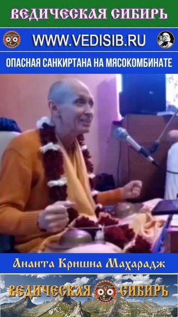 Опасная Санкиртана на Мясокомбинате смотреть онлайн