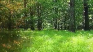 Душевные истории из жизни слушать онлайн бесплатно. Битва за семью, любовь..