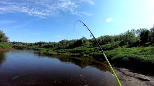 РЫБАЛКА НА ДАЛЬНИХ БЕРЕГАХ. ЧАСТЬ 1-Я.