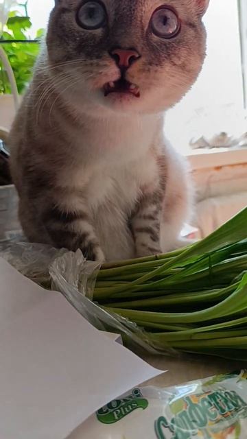 16 мая 2025 г. смотреть онлайн